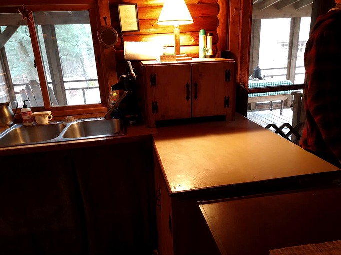 Cabins (Le Roy, Michigan, United States of America)