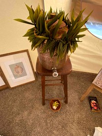 Bell Tents (Anahola , Hawaii, United States of America)