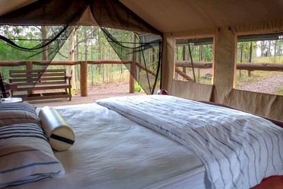 Safari Tents (Booral, New South Wales, Australia)