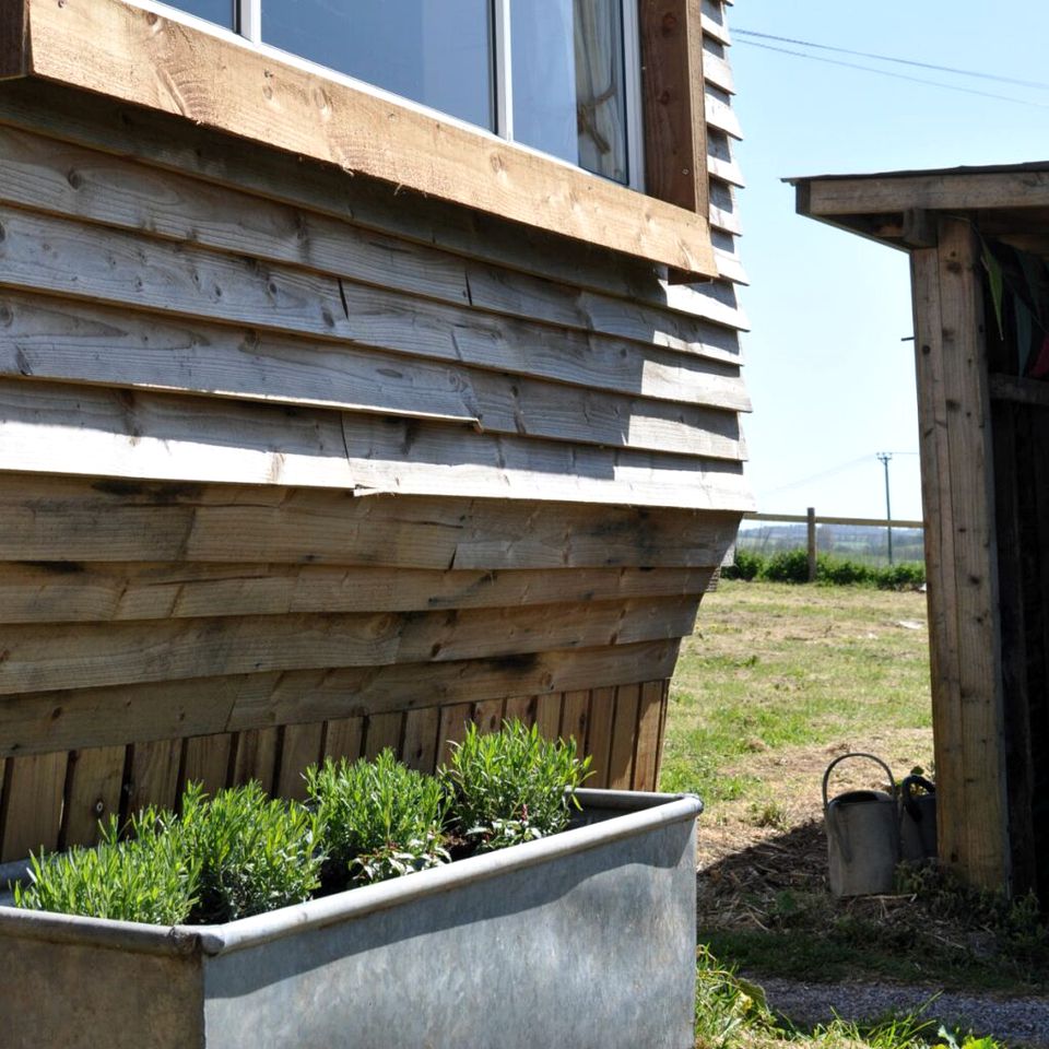 Cabin rental for glamping in Dorset