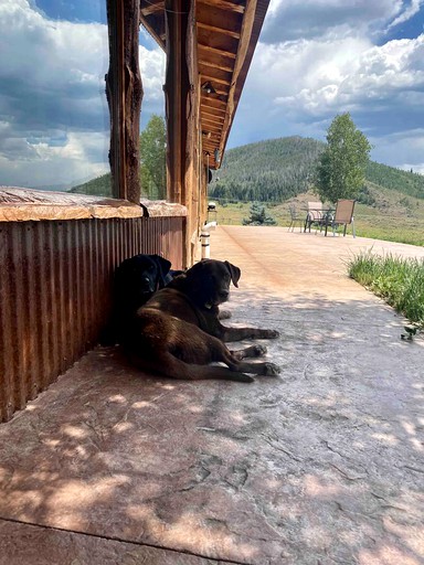 Cabins (Clark, Colorado, United States of America)