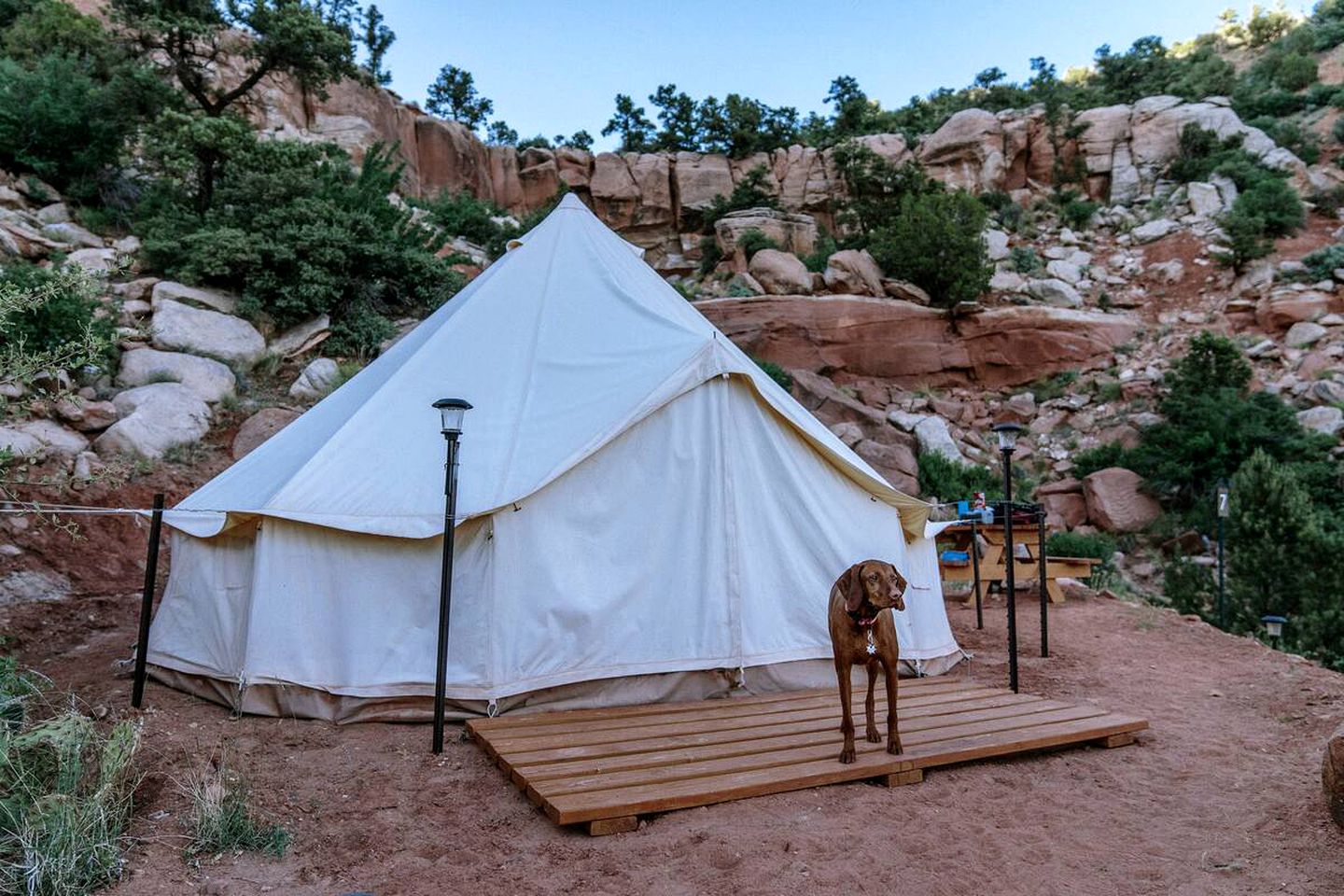 Bell Tents (Hildale, Utah, United States of America)