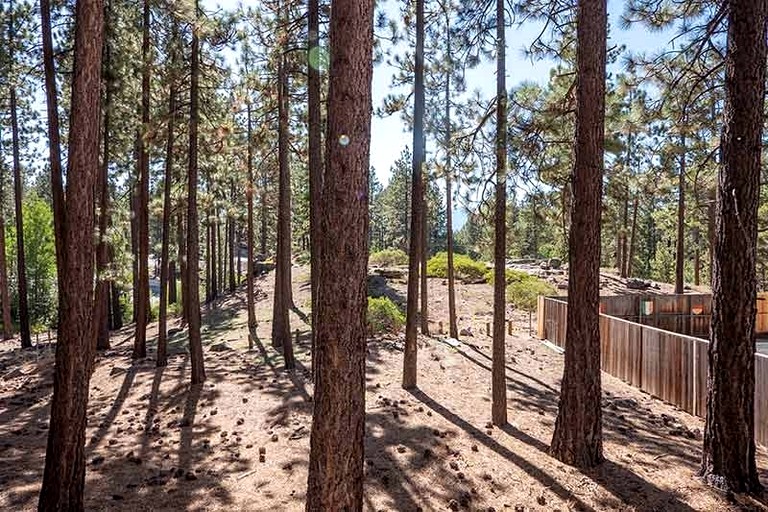Cabins (United States of America, South Lake Tahoe, California)