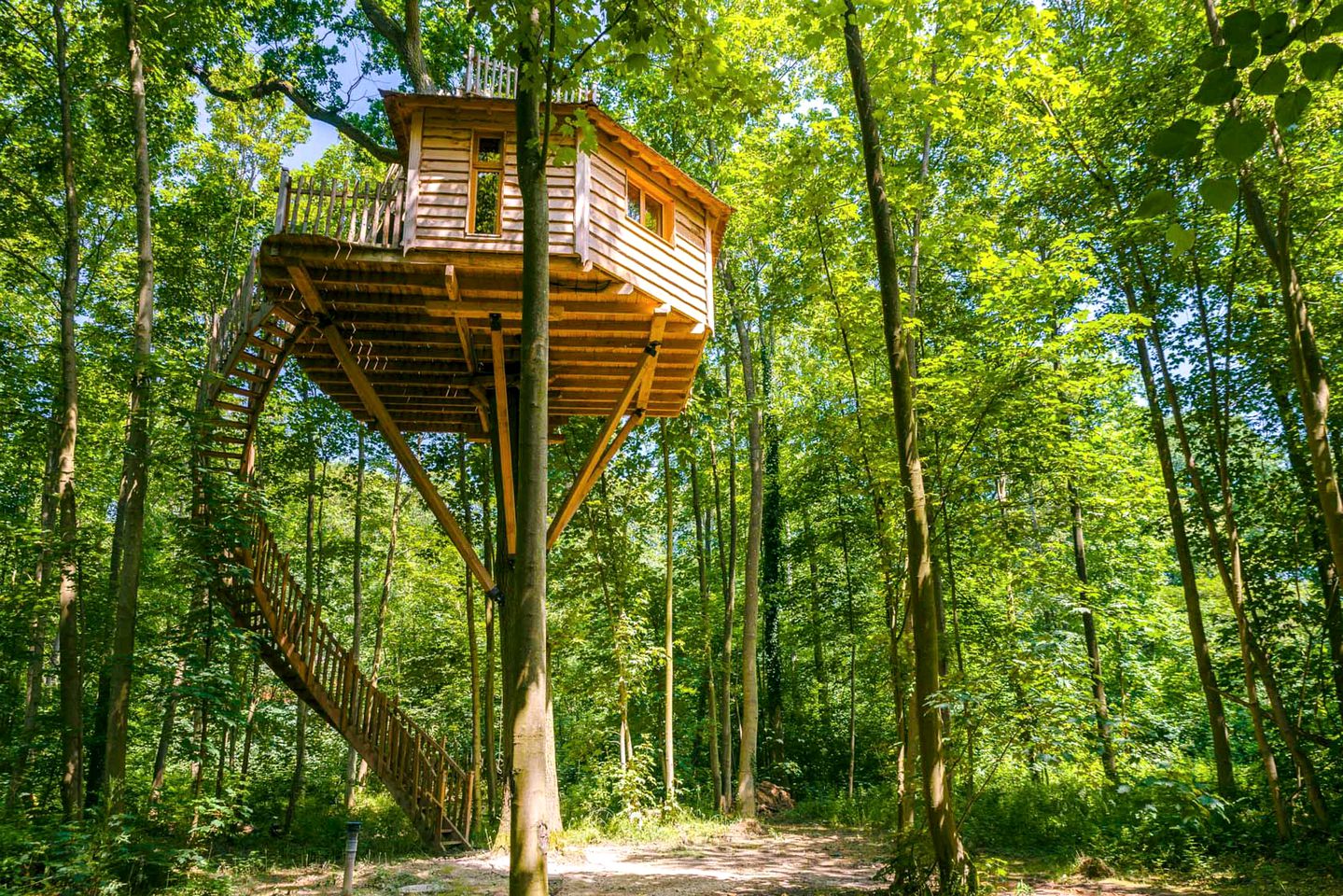 Tree Houses (Oise, Hauts-de-France, France)