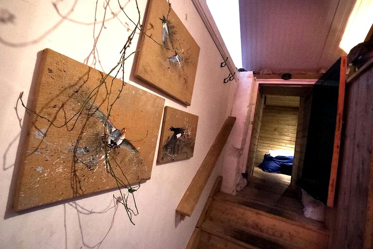 Yurts (Conwy, Wales, United Kingdom)