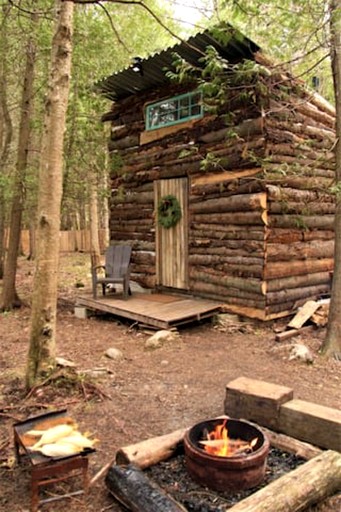 Quaint Off-Grid Cabin with Fire Pit Space in Ontario