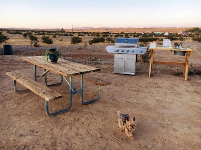 Yurts (United States of America, Twentynine Palms, California)