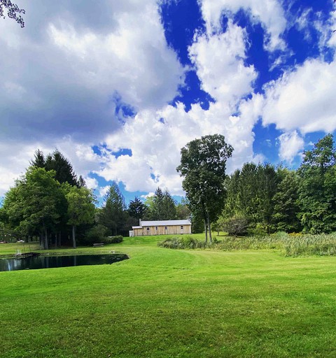 Cabins (Honeoye, New York, United States of America)