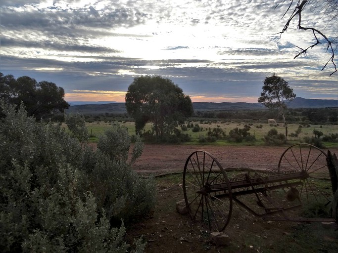 Caravans (Saltia, South Australia, Australia)