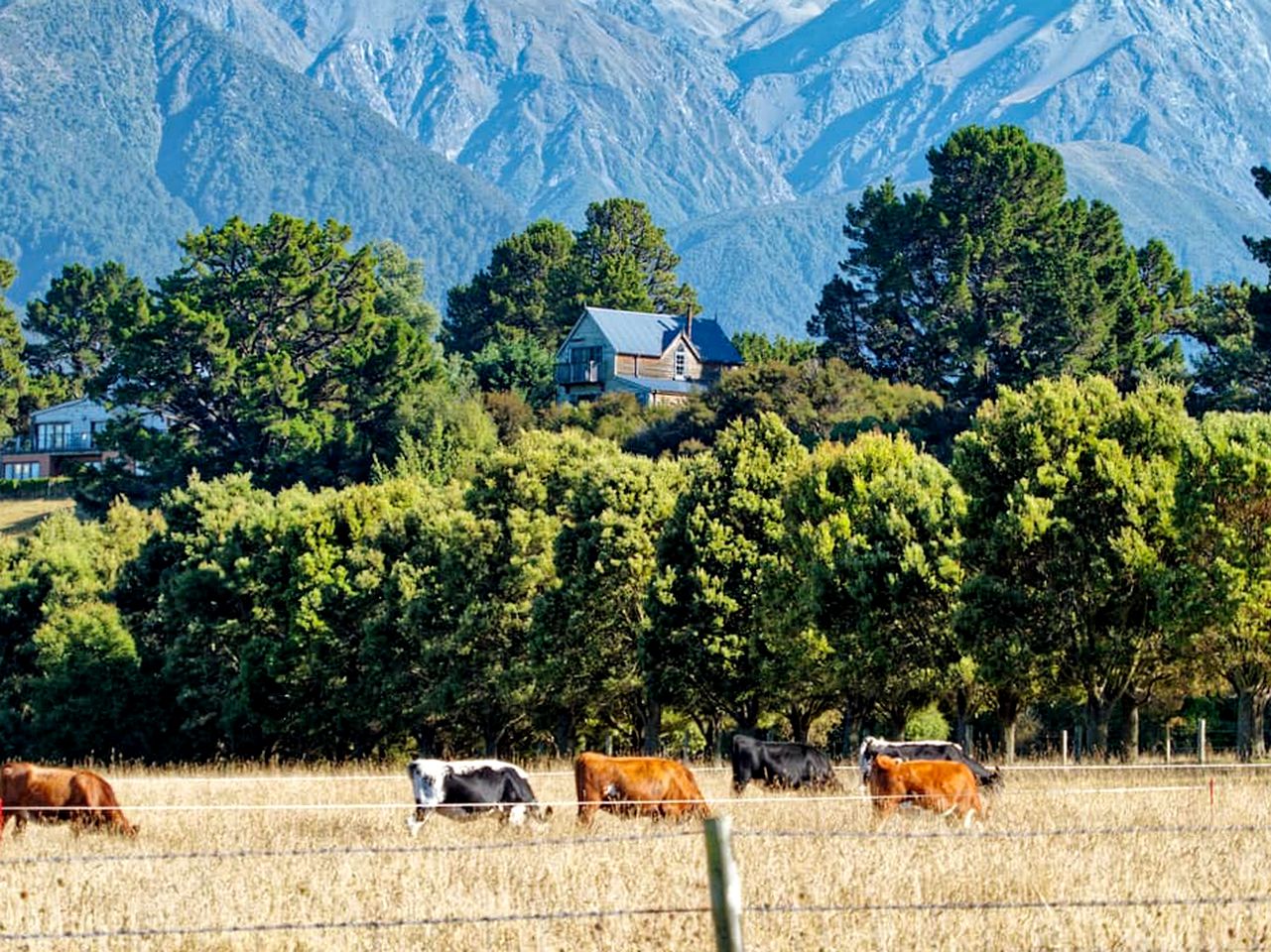 This accommodation near Kaikoura is ideal for a South Island getaway or an artistic retreat