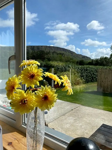 Cottages (Limavady, Northern Ireland, United Kingdom)