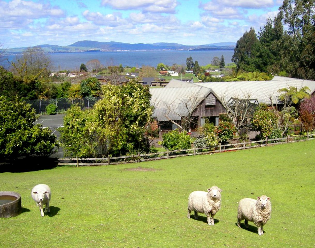 Nature Lodges (Rotorua, North Island, New Zealand)