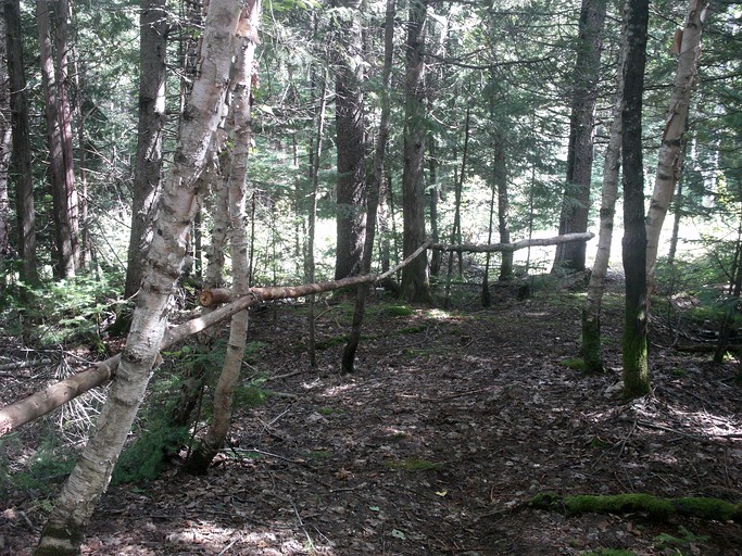 Off-The-Grid Bell Tent Retreat into Nature near the Laurentian Mountains in Quebec