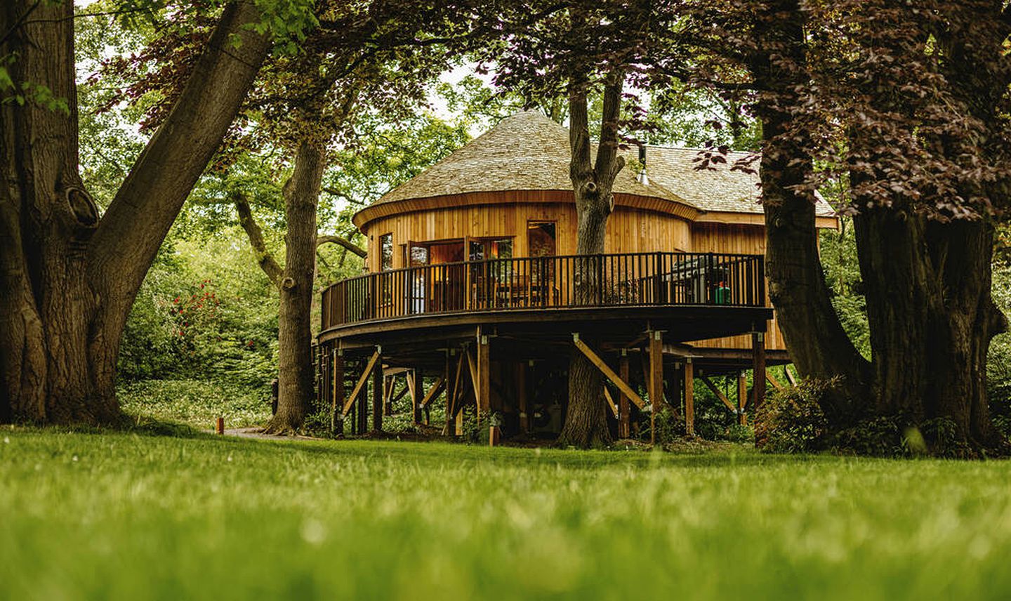 Impressive Treehouse with Gorgeous Indoor and Outdoor with Sauna, Jacuzzi and Luxurious Equipped Deck in UK