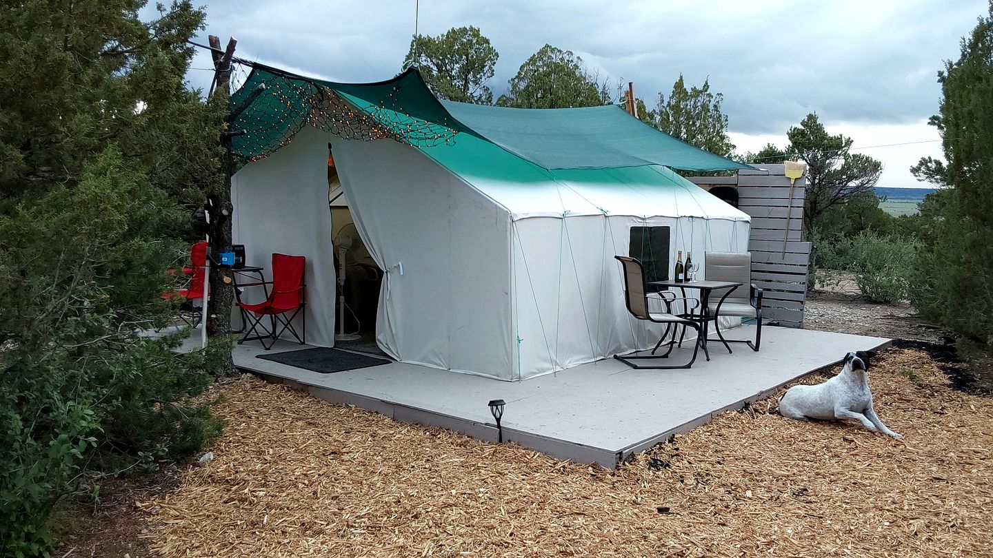 Remote Pet-Friendly Tented Cabin Great for Family Getaways in Colorado