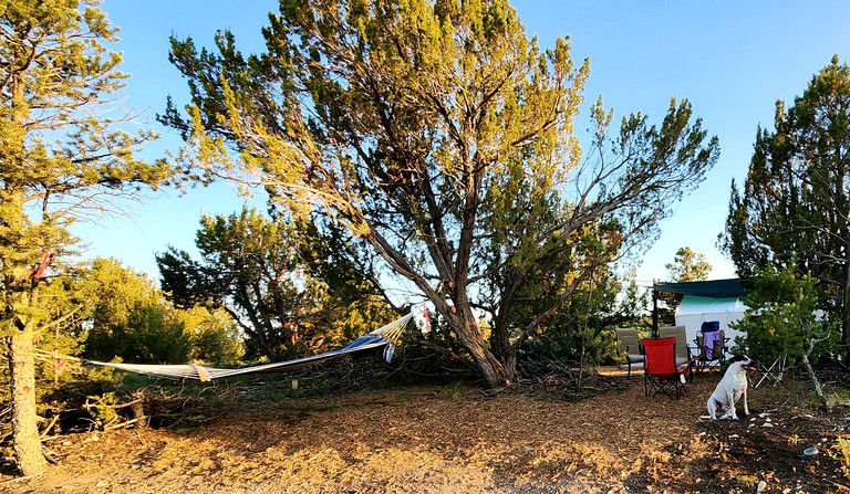 Tented Cabins (United States of America, Pueblo West, Colorado)