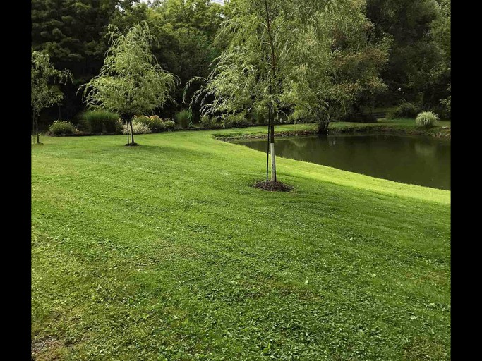 Cabins (United States of America, Naples, New York)