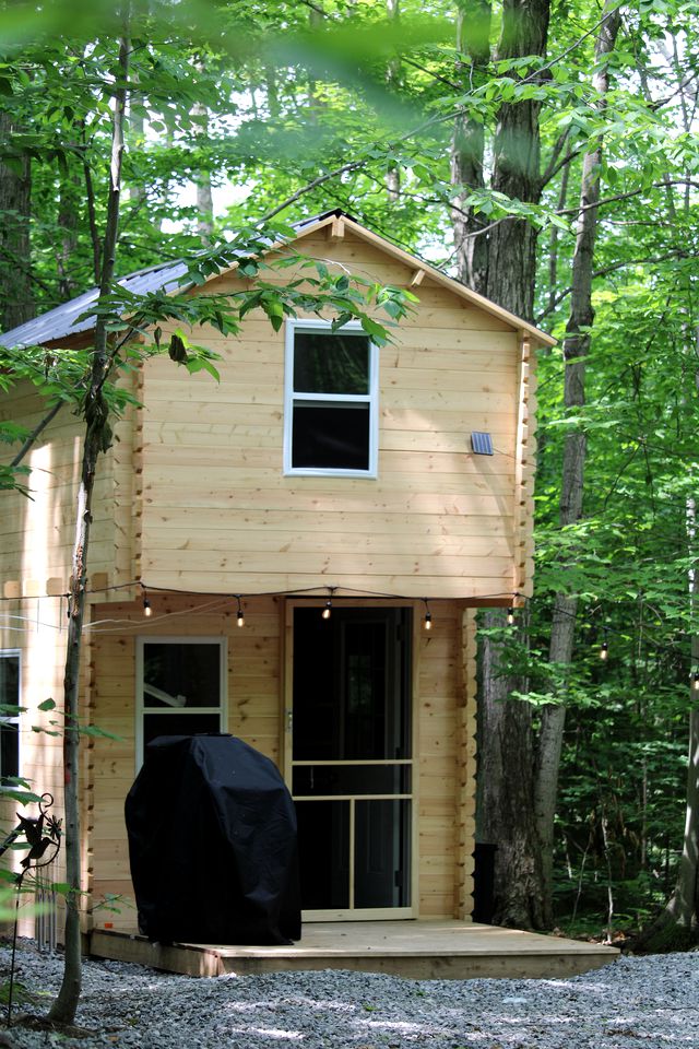 Comfortable Log Cabin with Sauna Ideal for Relaxing in the Ontario Forest