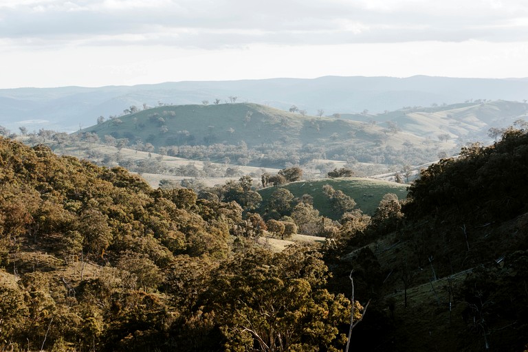 Tiny Houses (Australia, Turondale, New South Wales)