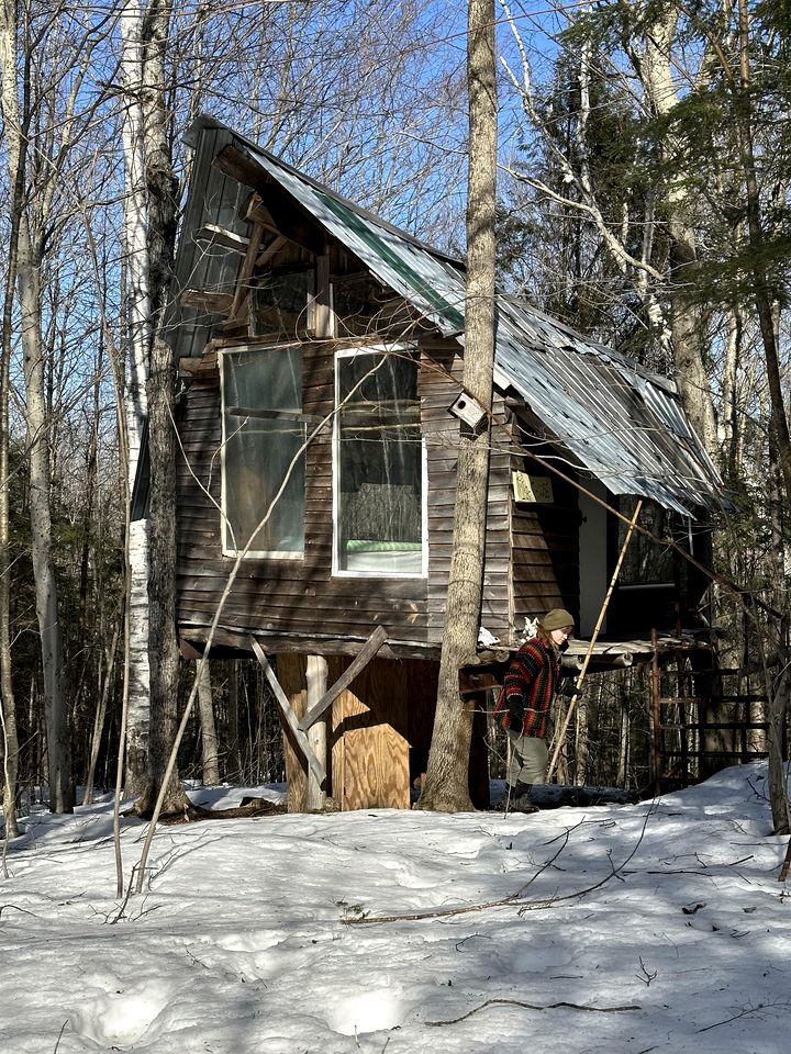 Tree Houses (United States of America, Dorchester, New Hampshire)