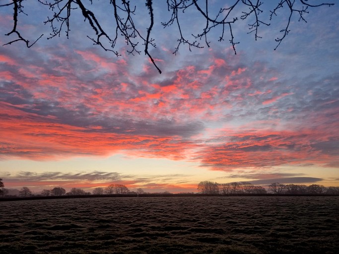 Cabins (United Kingdom, Laughton, East Sussex)