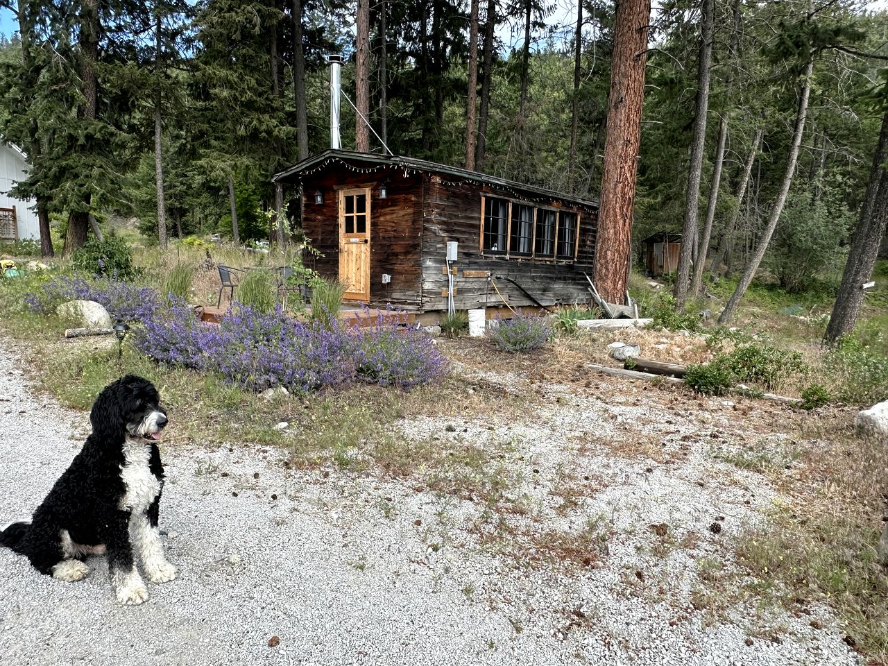 Renovated Romantic Cabin Ideal for a Couples Retreat in British Columbia