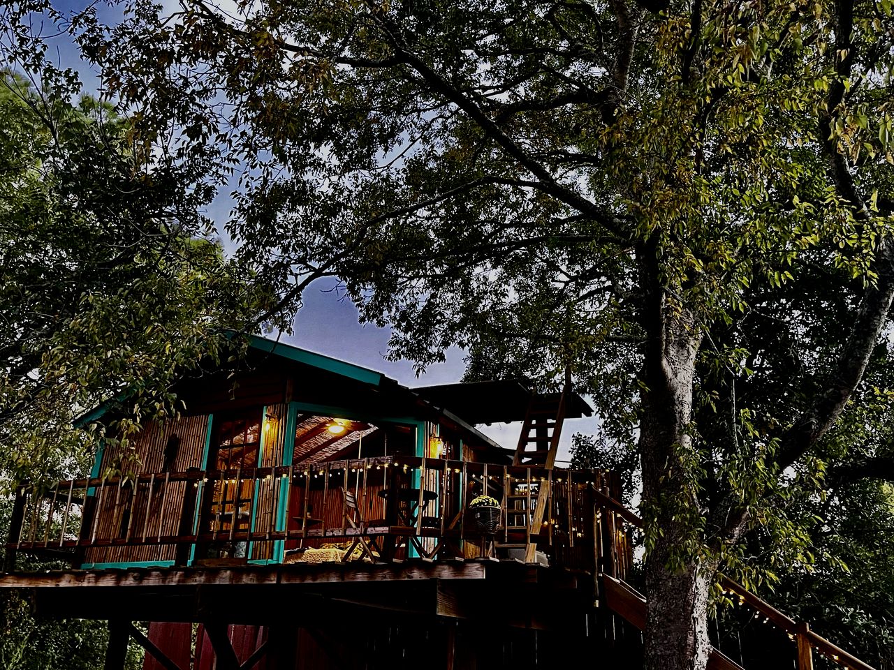 Unique Bamboo Tree House for an Unforgettable Couples Getaway by Lake Conroe, Texas