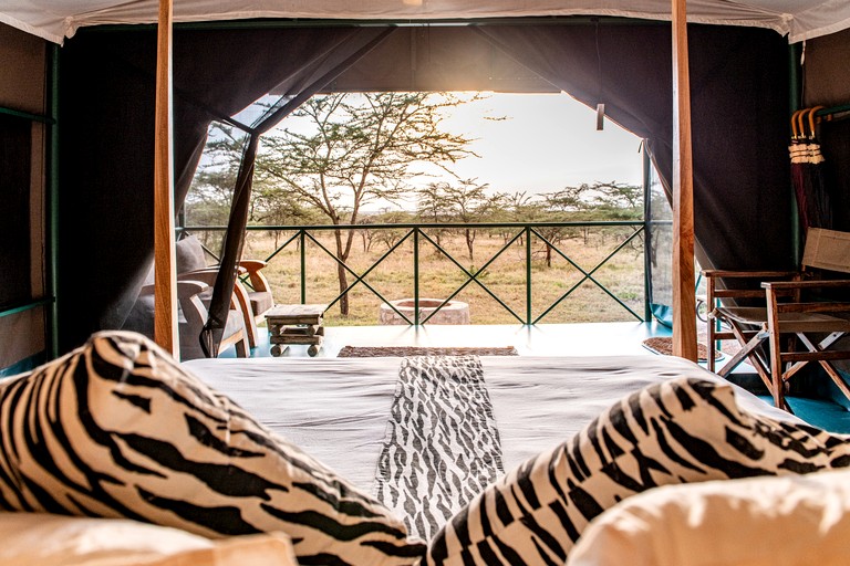 Safari Tents (Kenya, Talek, Narok)