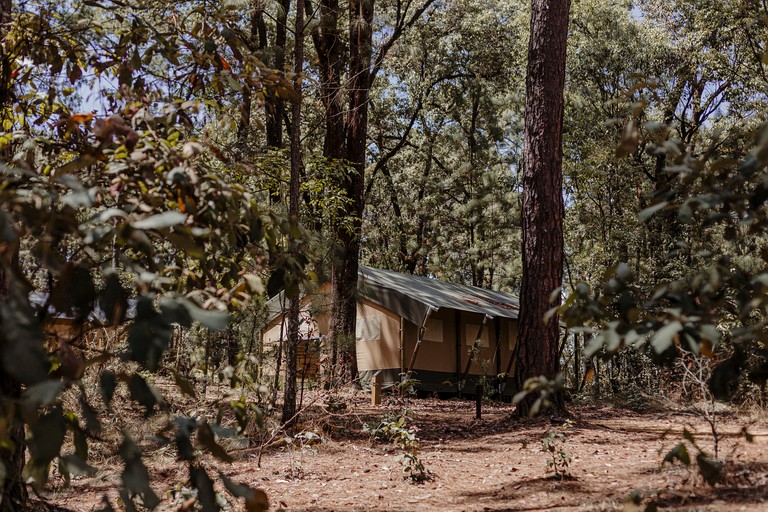 Safari Tents (Mexico, Valle de Bravo, State of Mexico)
