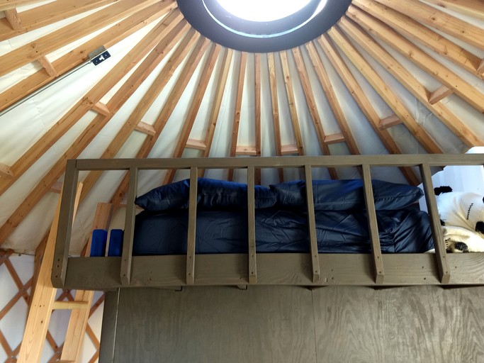 Yurts (United States of America, Livingston Manor, New York)