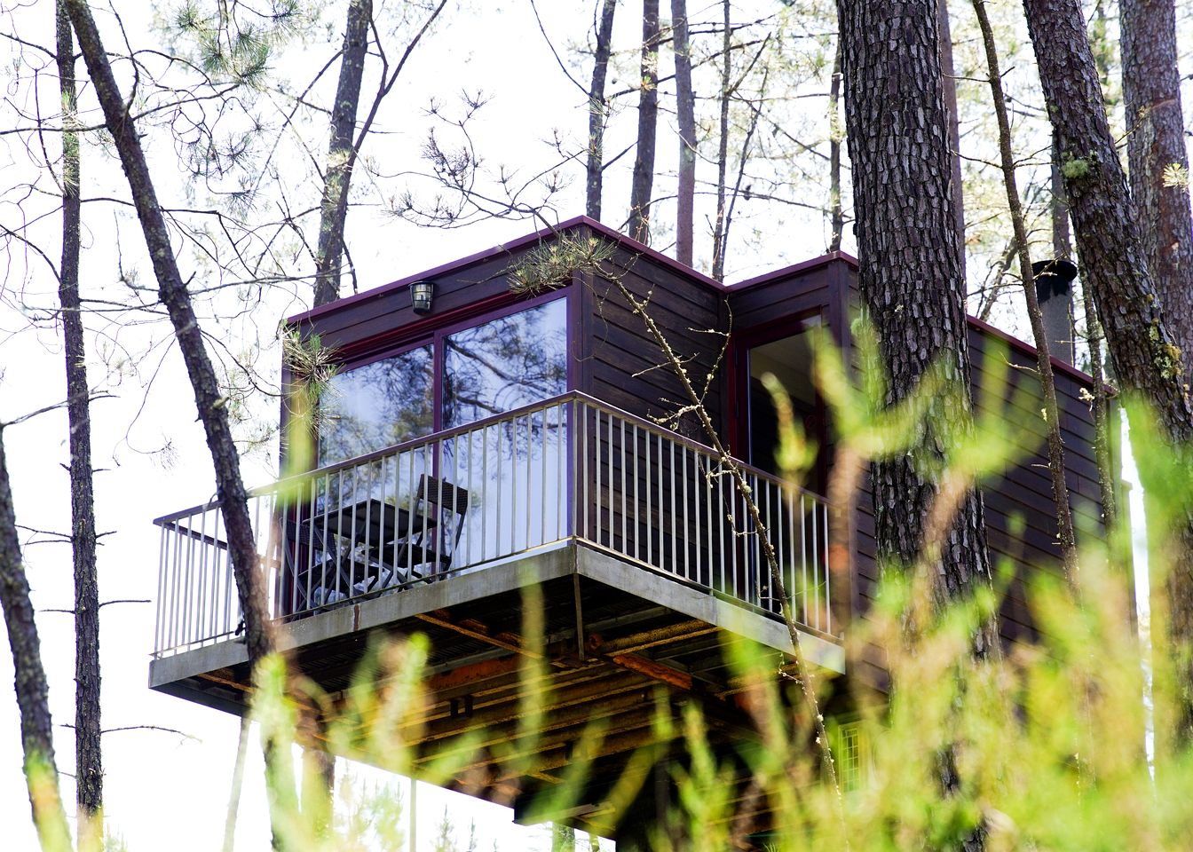Incredible Luxurious Tree House Suspended Over the Lima River for an Unforgettable Escape in Nature in Northern Portugal