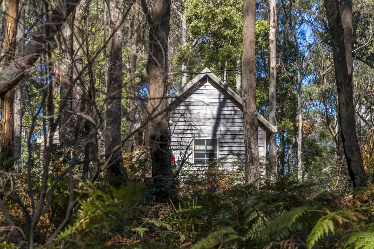 Cozy Hut Perfect for Outdoor Adventure Seekers in Branxholm, Tasmania