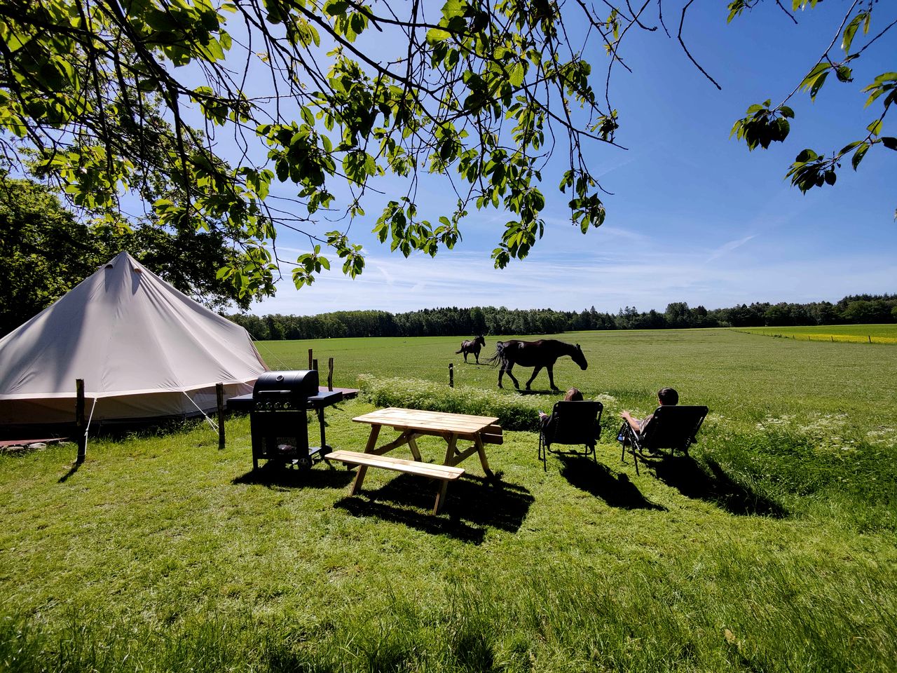 Amazing Glamping Tent for a Relaxing Escape in Nature in Bornholm, Denmark