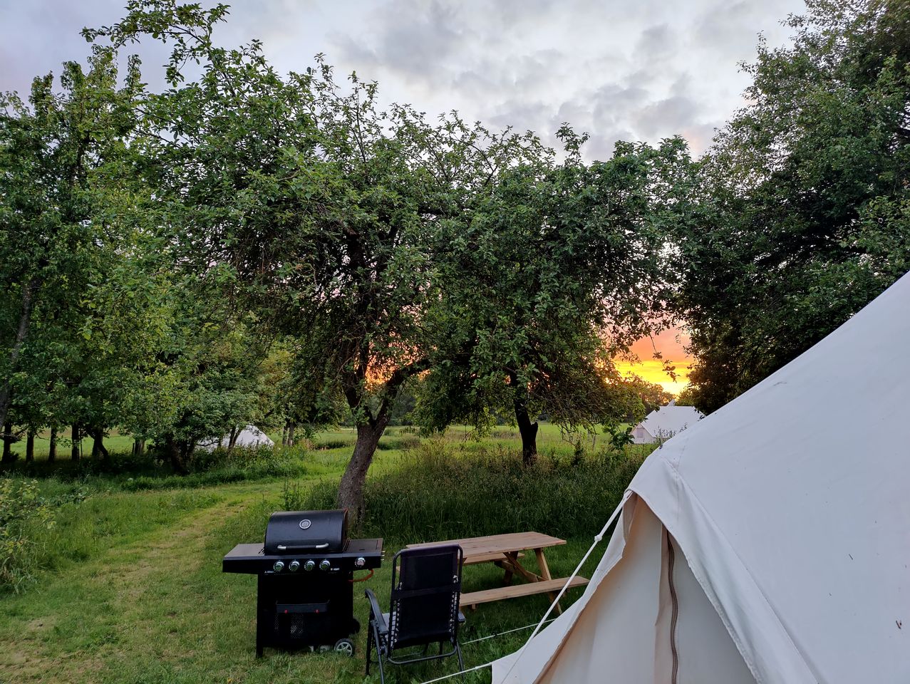 Incredible Glamping Tent on 250 Acres of Wild Forest in Bornholm, Denmark