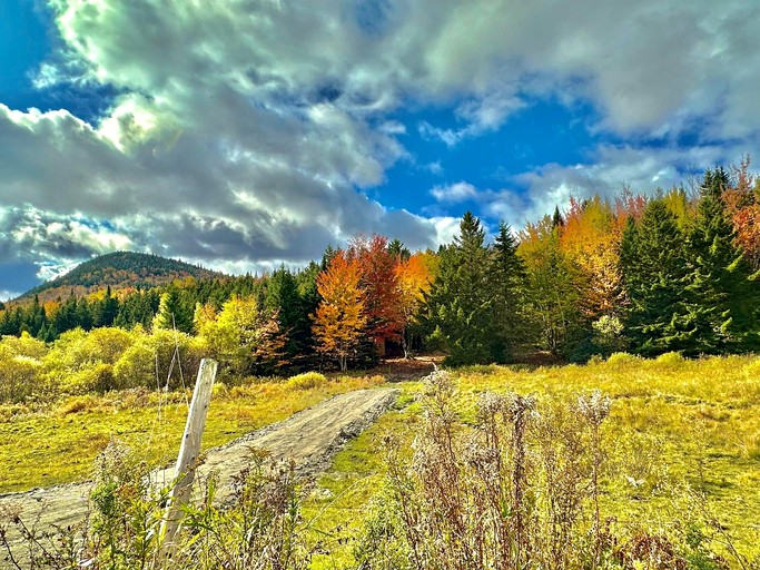 Cabins (United States of America, Barton, Vermont)