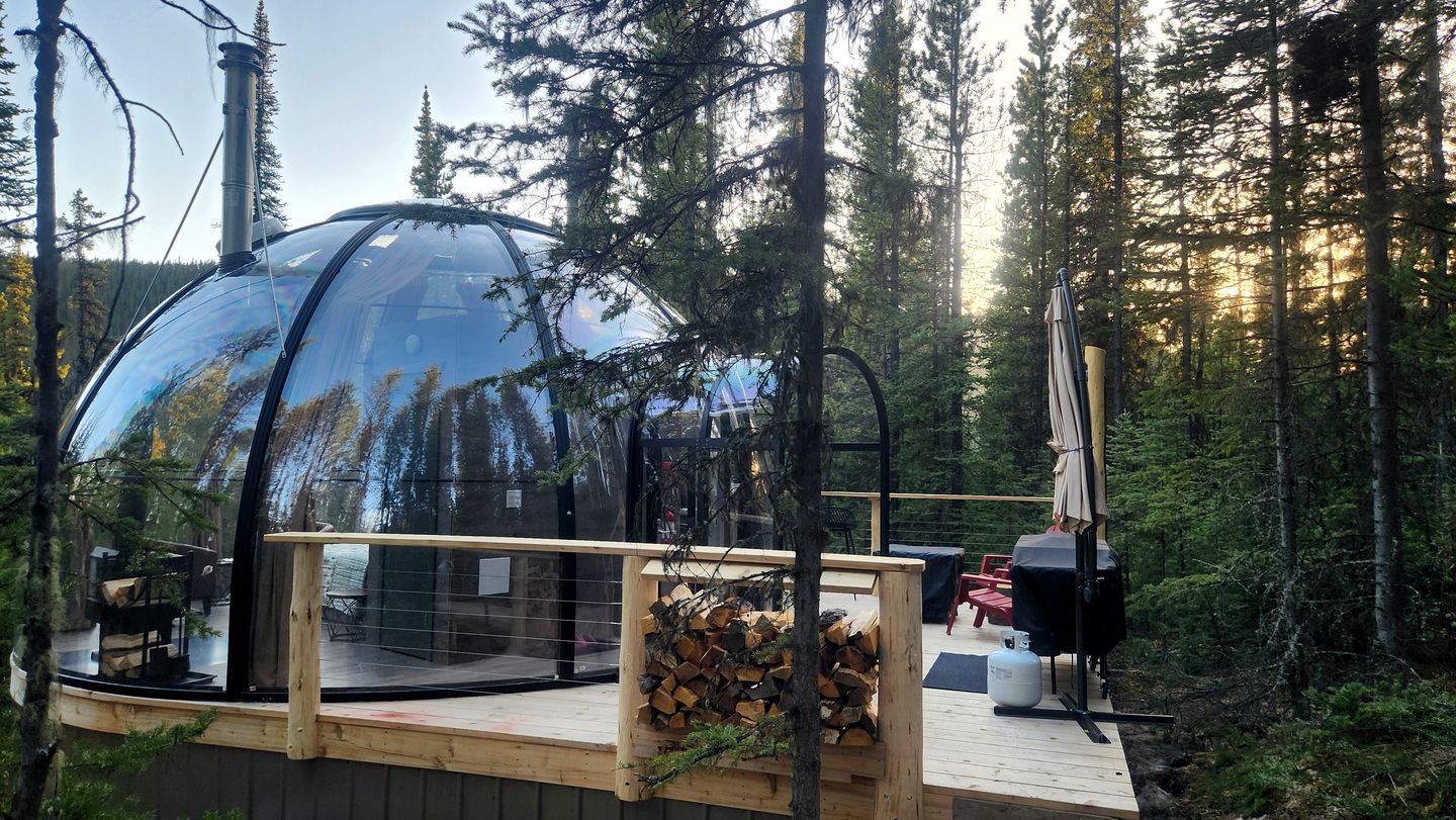 Unique Clear Dome Surrounded by Trees for a Memorable Glamping Experience in Rock Lake Provincial Park, Alberta