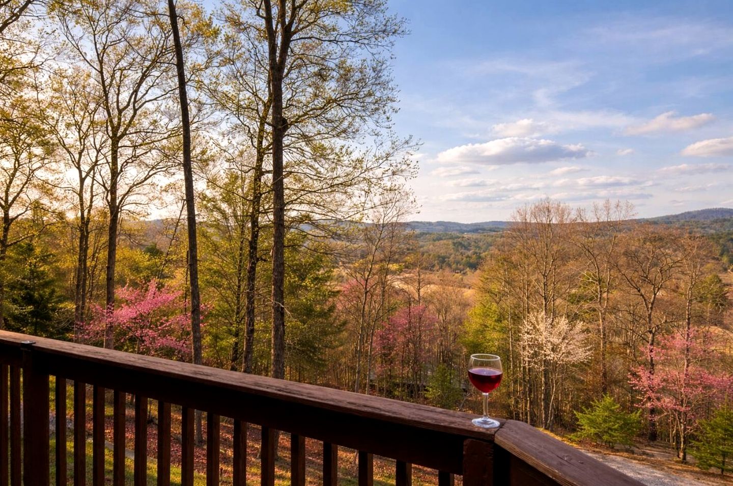 Cabins (United States of America, Blairsville, Georgia)