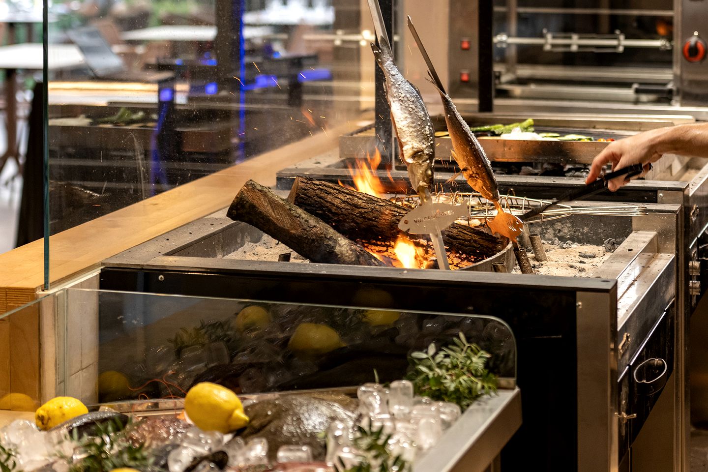 Eco-Luxury Glamping Retreat in a Pine Forest Hideaway in Catalonia, Spain