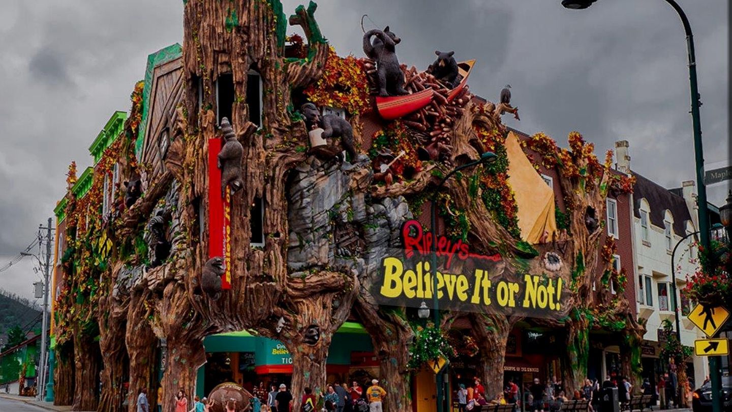 Romantic Cabin in Shady Grove Area of the Smoky Mountains: A Perfect One-Level Retreat for Couples