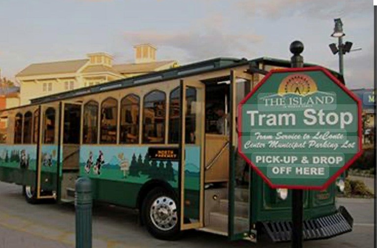 Log Cabins (United States of America, Sevierville, Tennessee)