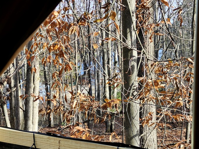 Bell Tents (United States of America, Mio, Michigan)