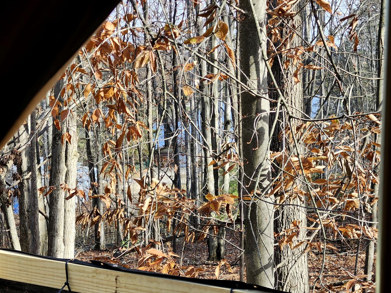 Cozy Bell Tent Glamping on Private Fenced Deck with Bathhouse Firepit WiFi and Trails in Mio, Michigan