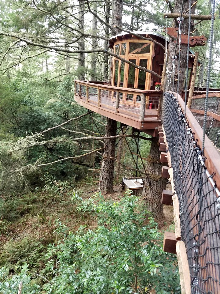 Secluded Treehouse Hideaway with Firepit and Forest Views in Bodega Bay, California
