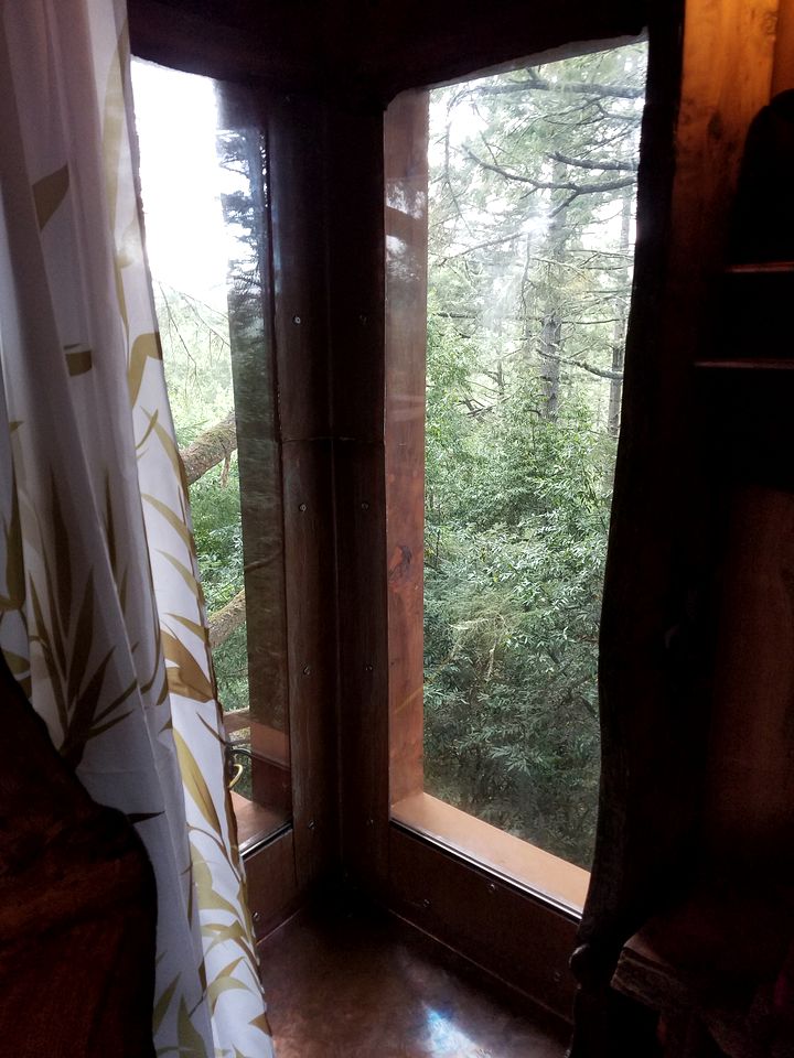 Secluded Treehouse Hideaway with Firepit and Forest Views in Bodega Bay, California
