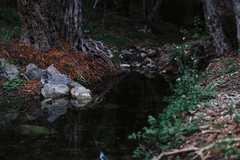 Cabins (Cyprus, Arakapas, Limassol)