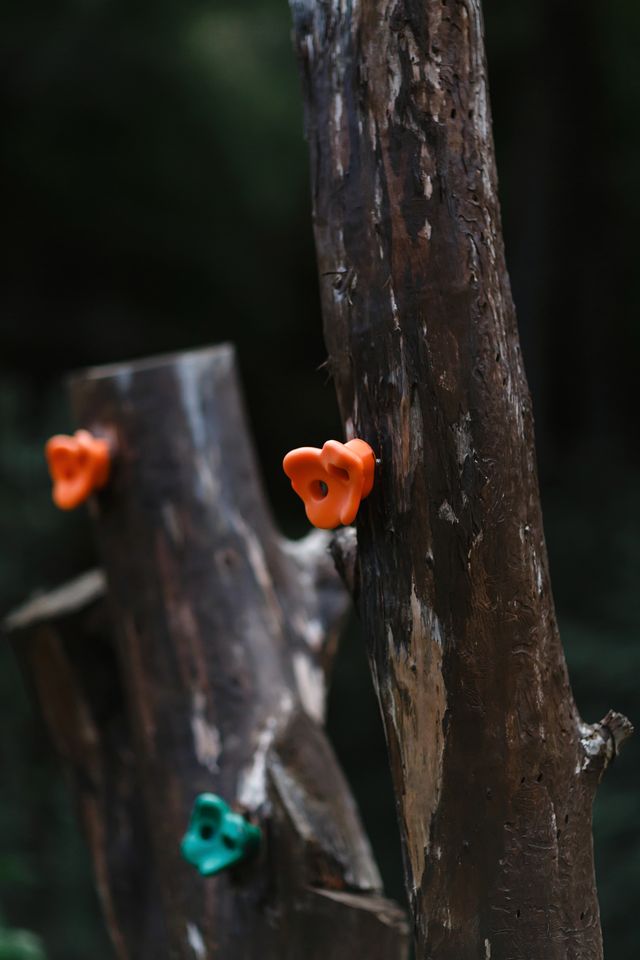 Unwind in a Warm Glamping Cabin with Serene Views & Fireside Comfort in Limassol, Cyprus