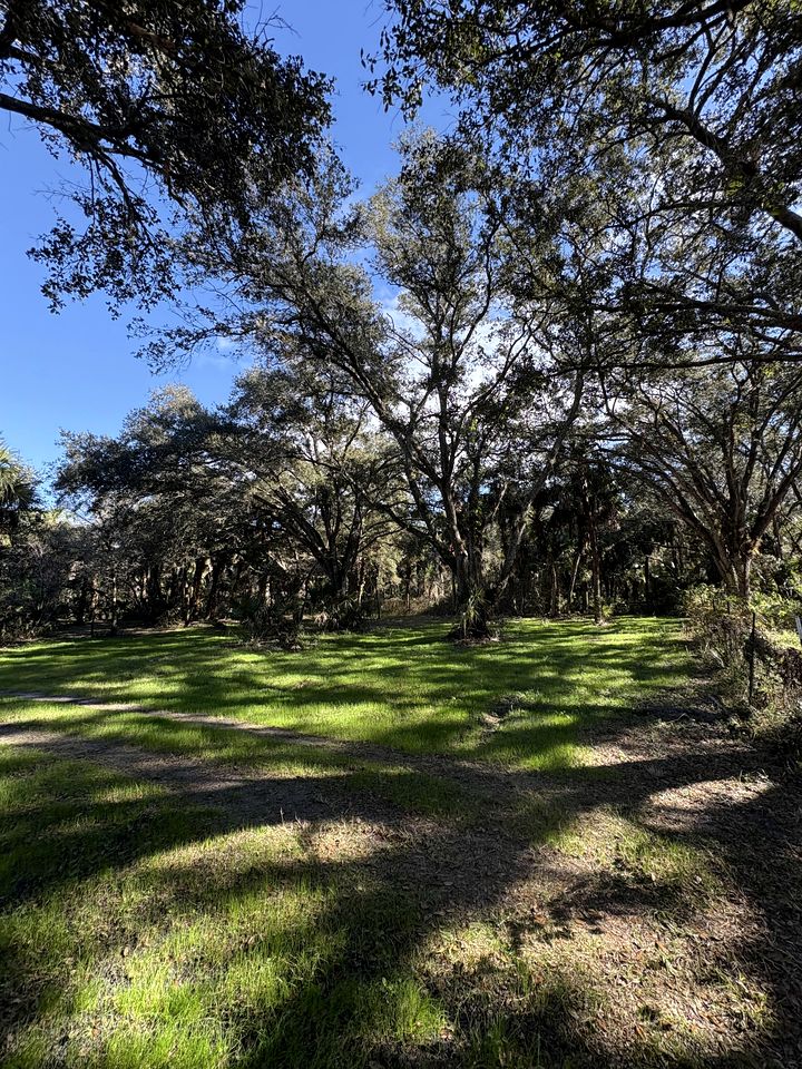 Secluded Off-the-Grid Cabin with Tropical Land Near Cocoa, Florida