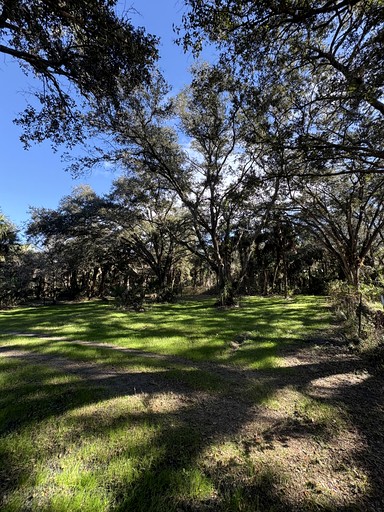 Cabins (United States of America, --, --)