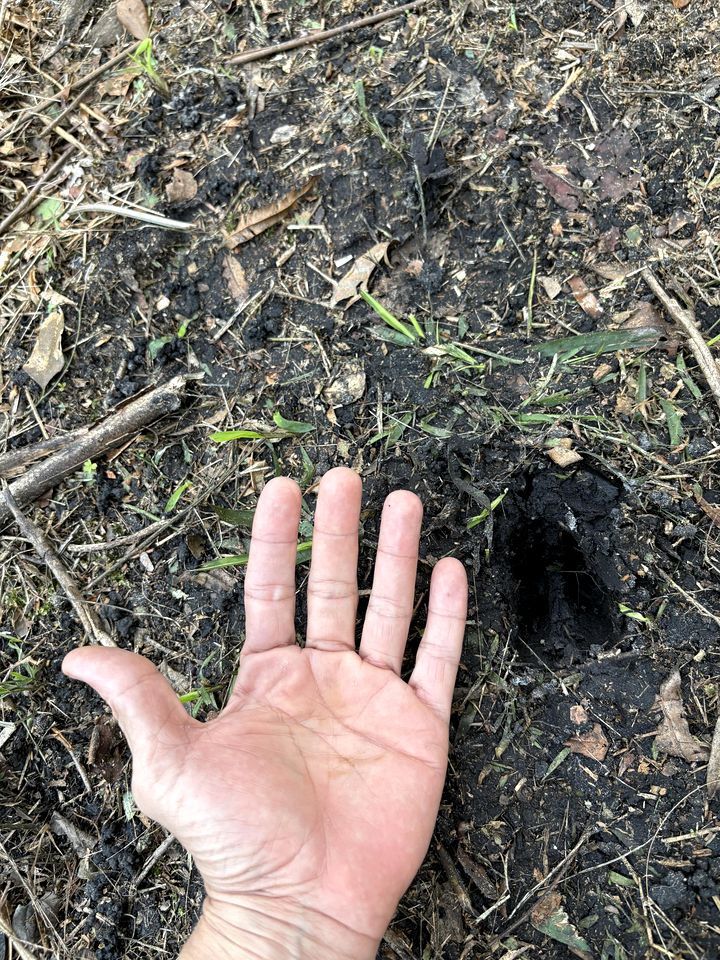 Secluded Off-the-Grid Cabin with Tropical Land Near Cocoa, Florida