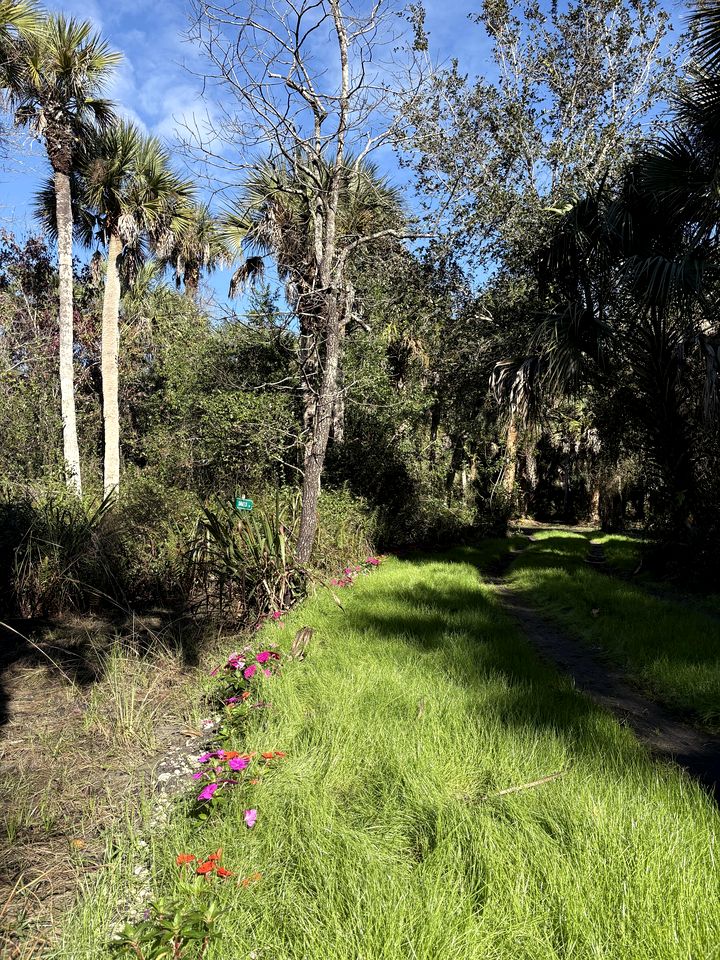 Secluded Off-the-Grid Cabin with Tropical Land Near Cocoa, Florida